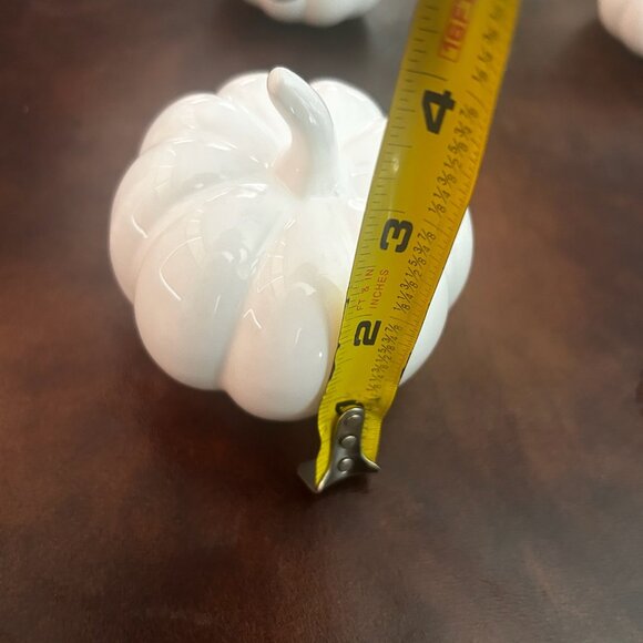 Thanksgiving Centerpiece Set Of 7 White Mini Ceramic Pumpkins - Picture 9 of 15